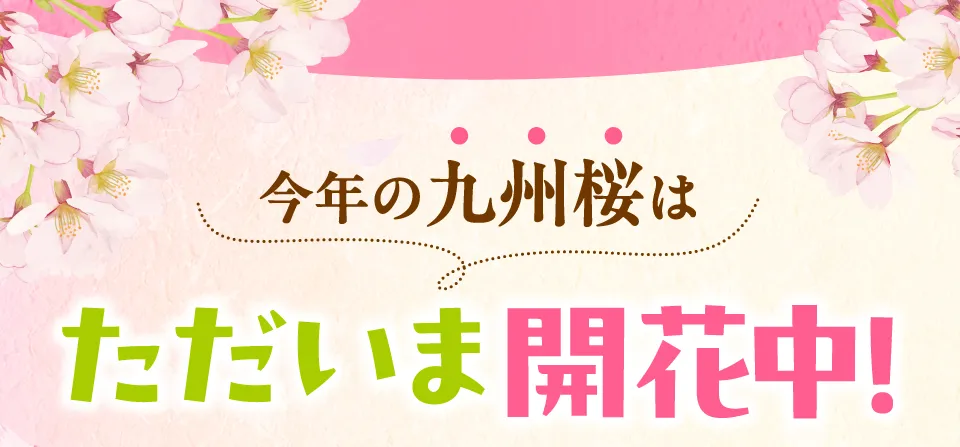 開花宣言まであと