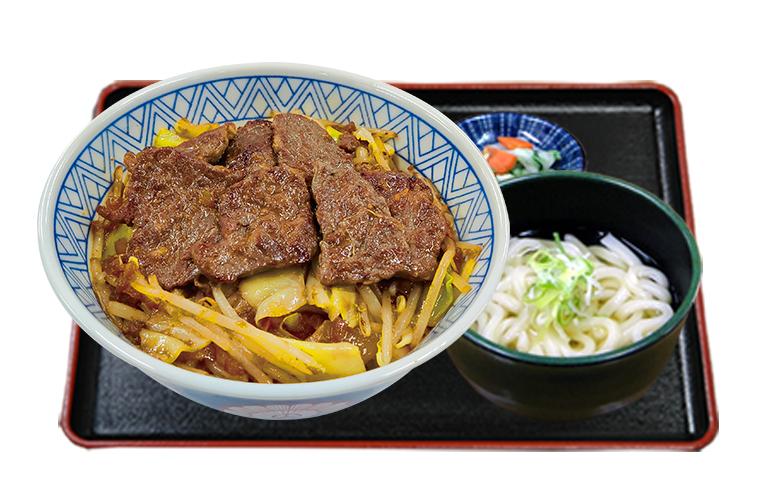 カットステーキ丼ミニうどんセット